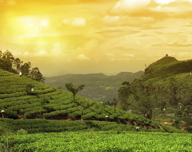 Hills ride tours and travels